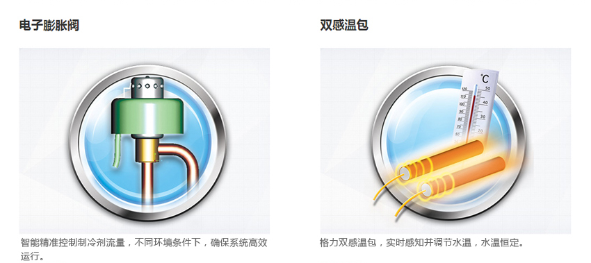 电子膨胀阀和双感温包